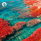 InnoNature Kapseln Astaxanthin Kapseln