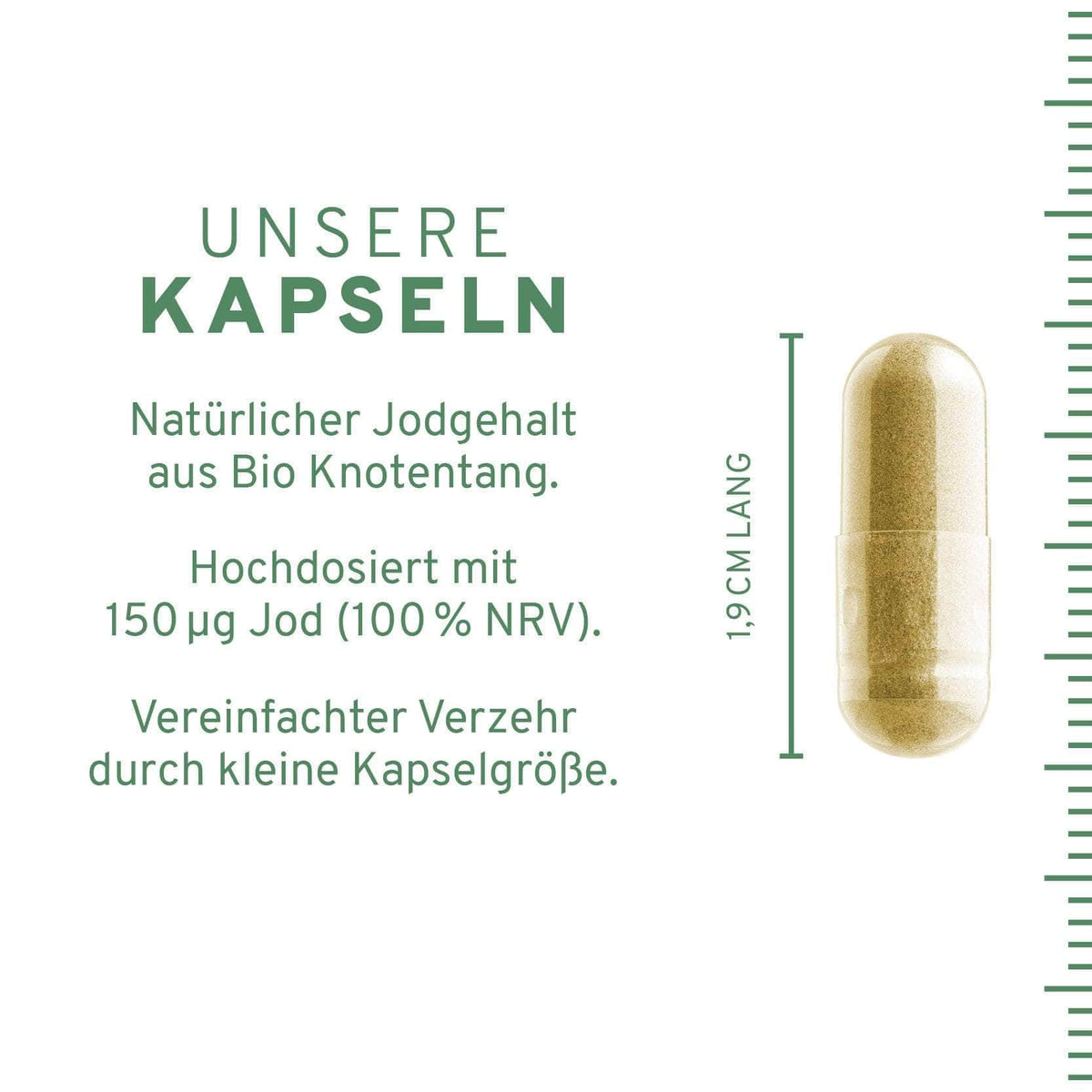 InnoNature Kapseln Bio Jod Kapseln: Knotentang