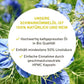 InnoNature Kapseln Bio Schwarzkümmelöl Kapseln