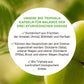 InnoNature Kapseln Bio Triphala Kapseln