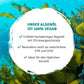 InnoNature Kapseln Omega 3 Algenöl