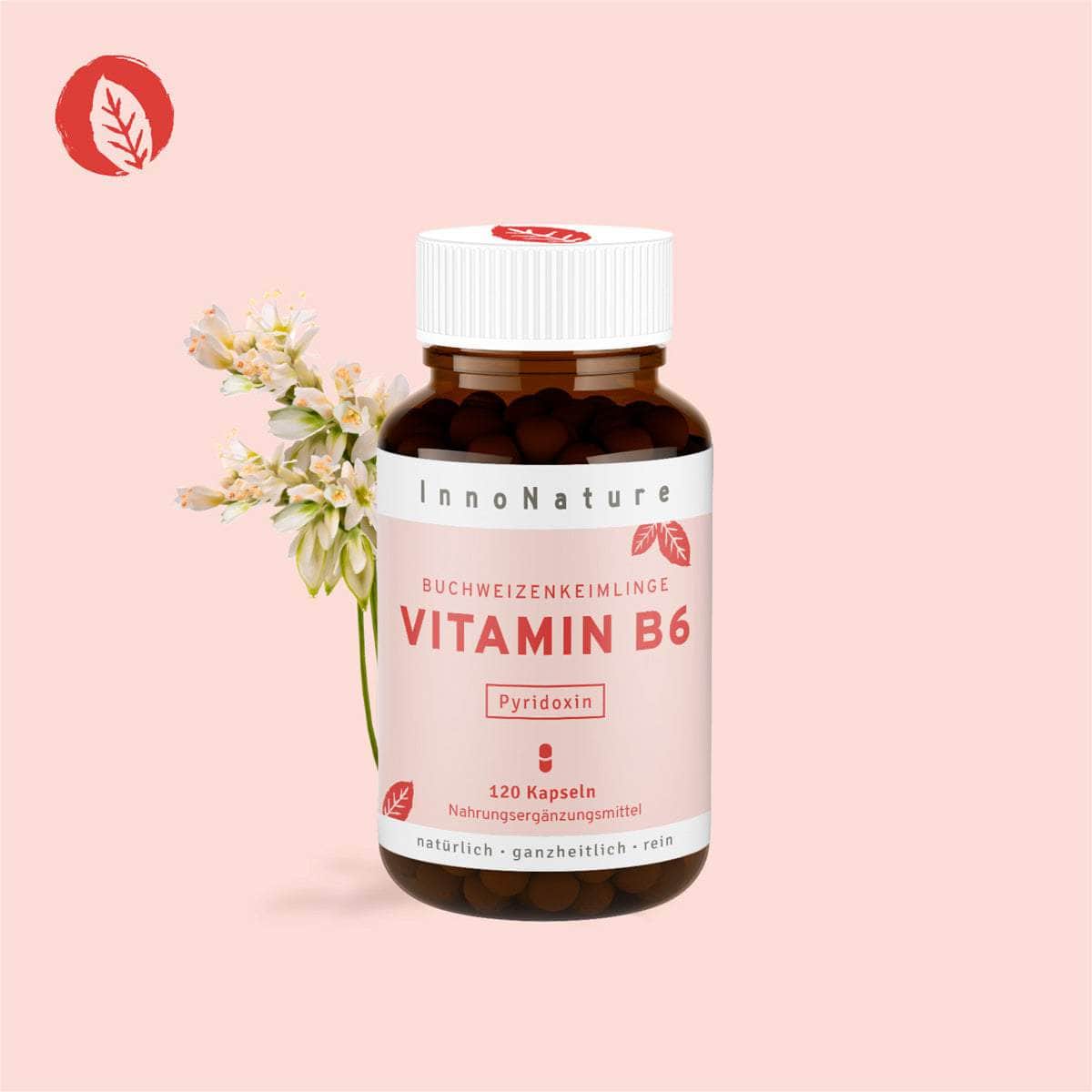 InnoNature Kapseln Vitamin B6 Kapseln: Buchweizen Keimlinge