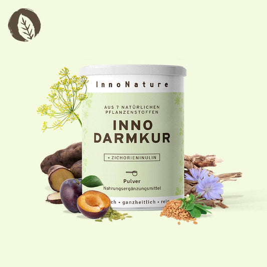 InnoNature Pulver Inno Darmkur